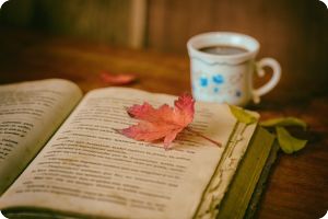 life coaching websites